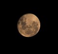/album/fotogaleria/luna-para-caro-007-jpg/